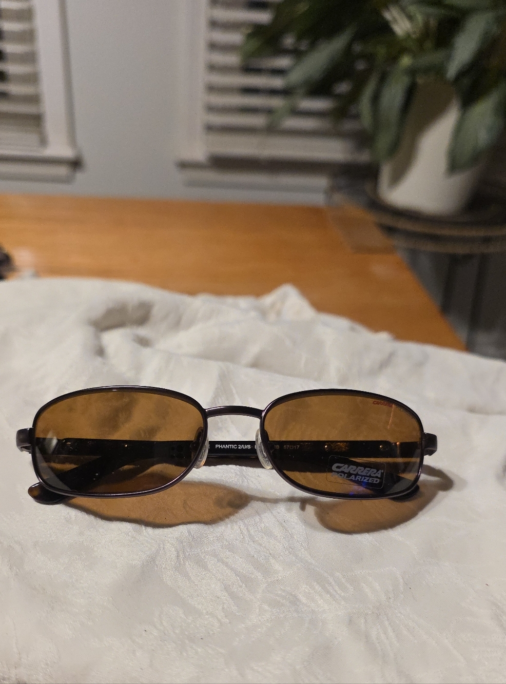 Carrera Polarized Oval Sunglasses in Brown